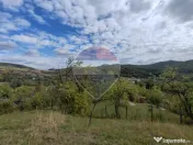 VÂNZARE Teren intravilan în Provița de Jos 