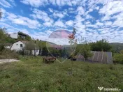VÂNZARE Teren intravilan în Provița de Jos 