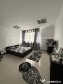 Apartament de vanzare , curte comuna, 2 camere, Zona Semicen