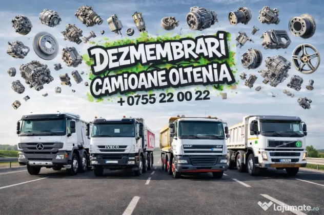 Vand Grup Camion axa spate diferite rapoarte si modele