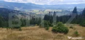 Teren pasune impadurita 42.152 mp, zona Saru Dornei - Vatra