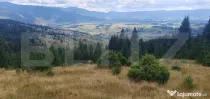 Teren extravilan de vanazre, 42.152 mp, zona Saru Dornei