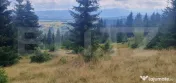 Teren pasune impadurita 42.152 mp, zona Saru Dornei - Vatra