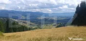 Teren pasune impadurita 42.152 mp, zona Saru Dornei - Vatra
