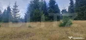 Teren pasune impadurita 42.152 mp, zona Saru Dornei - Vatra