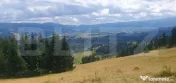Teren pasune impadurita 42.152 mp, zona Saru Dornei - Vatra