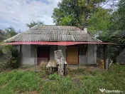 Casa de lemn pe un teren intravilan generos 