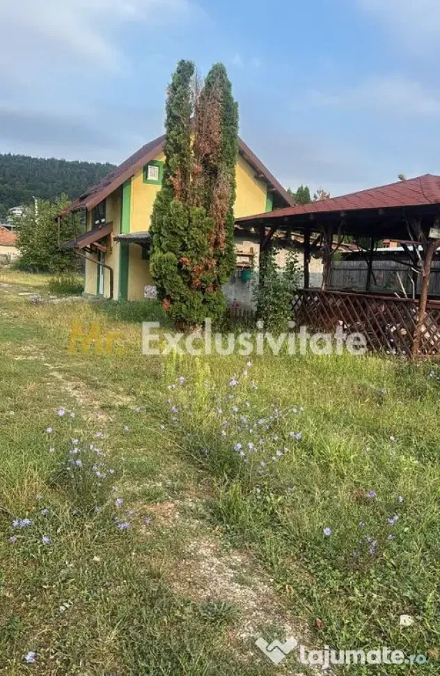 Casa cocheta pe structura de lemn în Mărăcineni Argeșelu - Maracineni (Arges)