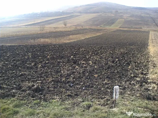 Teren intravilan, 5515 mp,cu front de 31.15 m in zona Sopor - Cluj-Napoca (Cluj)