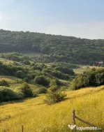 Teren 500mp, Valea Sanaslaului