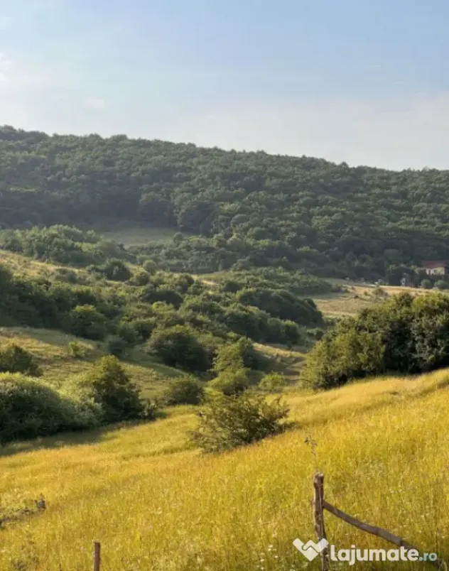 Teren 500mp, Valea Sanaslaului - Floresti (Cluj)