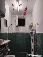 Vanzare Garsoniera, semidecomandat, 20 m², Micro 19 