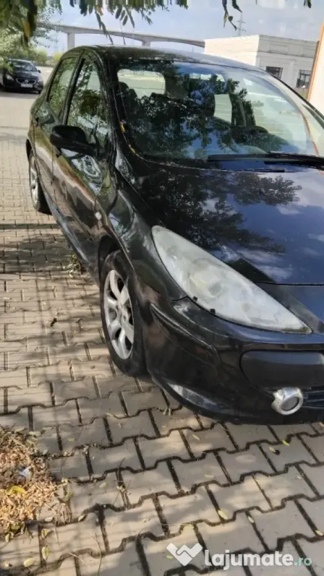 de vânzare pejo