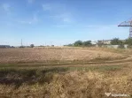 Teren 7.050 mp intravilan Popești-Leordeni | Ideal dezvolta