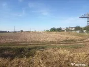 Teren 7.050 mp intravilan Popești-Leordeni | Ideal dezvolta 