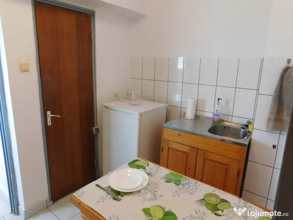 inchiriere ap cu 1 cam