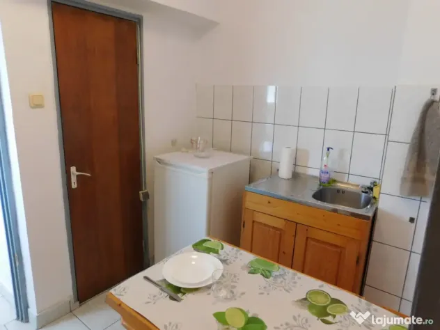 inchiriere ap cu 1 cam