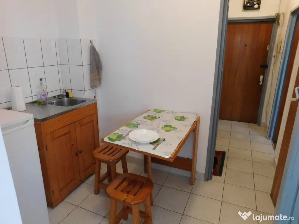 inchiriere ap cu 1 cam