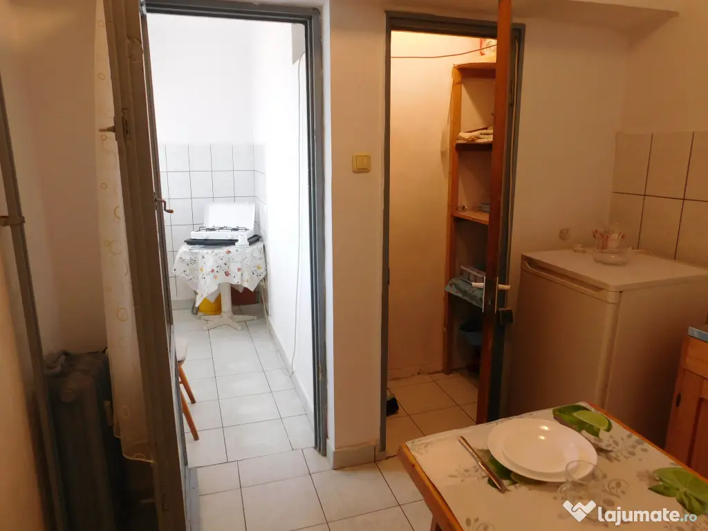inchiriere ap cu 1 cam
