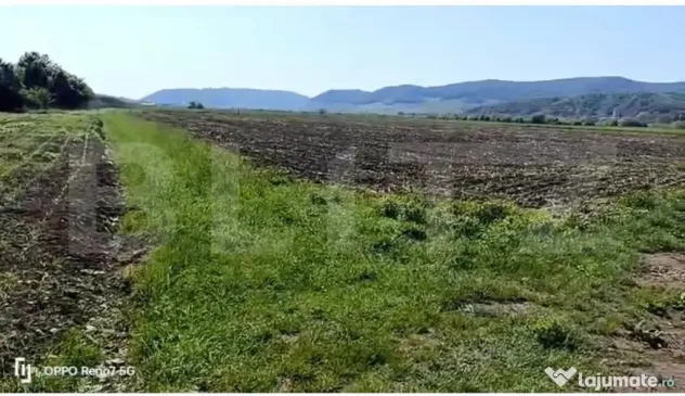 Teren 25 ari, zona agricola, lângă Parcul Industrial Prism - Bistrita (Bistrita-Nasaud)