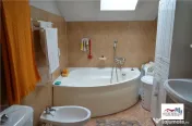 Casa si Spatiu Comercial de Zona Semicentrala 