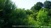 CASA CU TEREN 1730 MP UTILITATI RACORDATE 