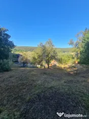 Casa individuala cu 4 camere, 2400 mp de teren, loc Micesti 