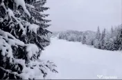 Domeniu schiabil-Partia Mestecanis, 28ha teren, Mestecanis 