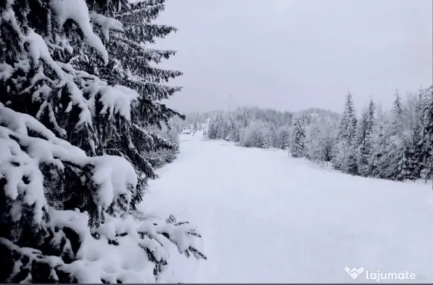 Domeniu schiabil-Partia Mestecanis, 28ha teren, Mestecanis - Mestecanis (Suceava)