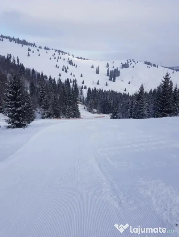 Domeniu schiabil-Partia Mestecanis, 28ha teren, Mestecanis - Mestecanis (Suceava)