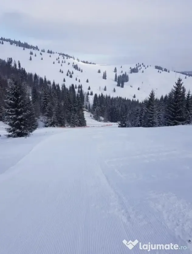 Domeniu schiabil-Partia Mestecanis, 28ha teren, Mestecanis - Mestecanis (Suceava)