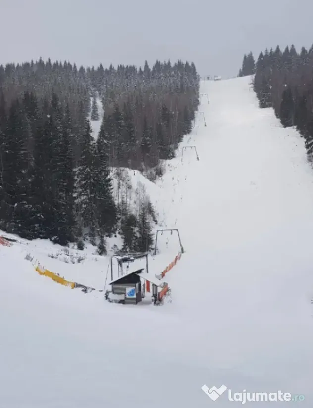 Domeniu schiabil-Partia Mestecanis, 28ha teren, Mestecanis - Mestecanis (Suceava)