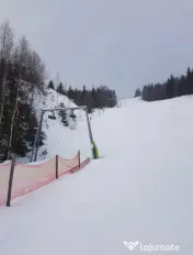 Domeniu schiabil-Partia Mestecanis, 28ha teren, Mestecanis 