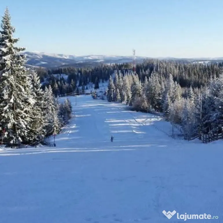 Domeniu schiabil-Partia Mestecanis, 28ha teren, Mestecanis - Mestecanis (Suceava)