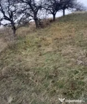 Teren intravilan, 3450 mp, front 23 m, lungime 150 m in Bor 