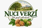 Nuci în coajă pentru en-gros – calitate premium – livadă ECO 
