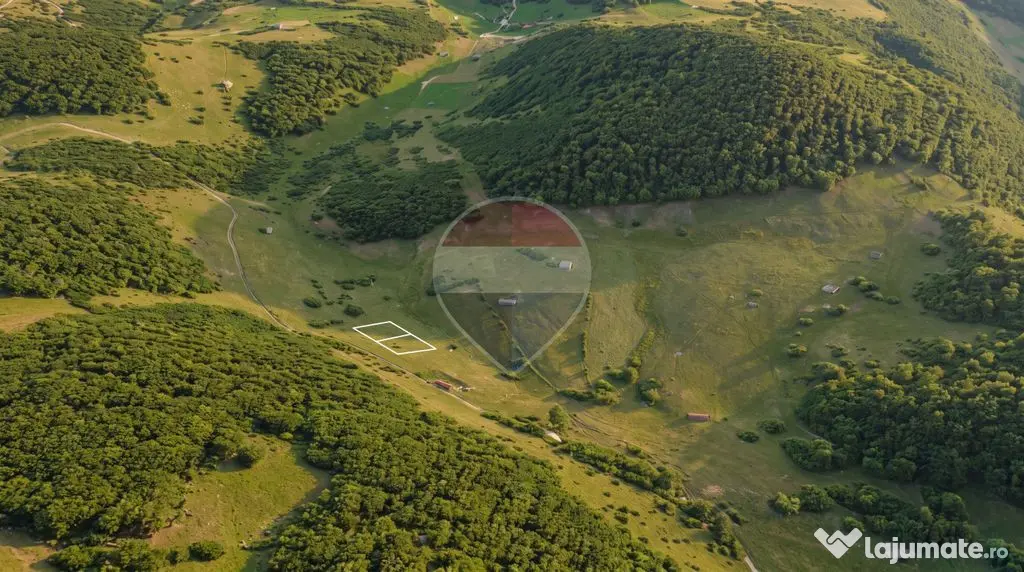 Teren intravilan|813 mp|Ciocanu, Argeș|Priveliste specta... - Dambovicioara (Arges)
