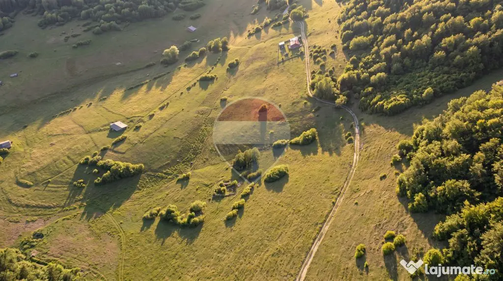 Teren intravilan|813 mp|Ciocanu, Argeș|Priveliste specta... - Dambovicioara (Arges)