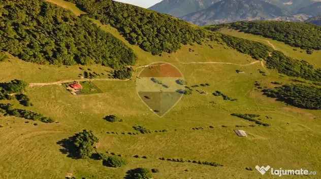 Teren intravilan|813 mp|Ciocanu, Argeș|Priveliste specta... - Dambovicioara (Arges)