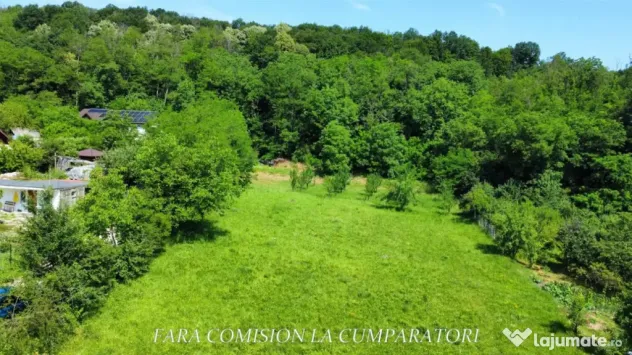 TEREN LANGA ORAS | ACCES ASFALTAT | TOATE UTILITATILE - Ocnele Mari (Valcea)
