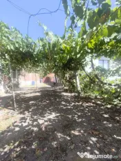 Casa de Vanzare Razboieni Cetate 