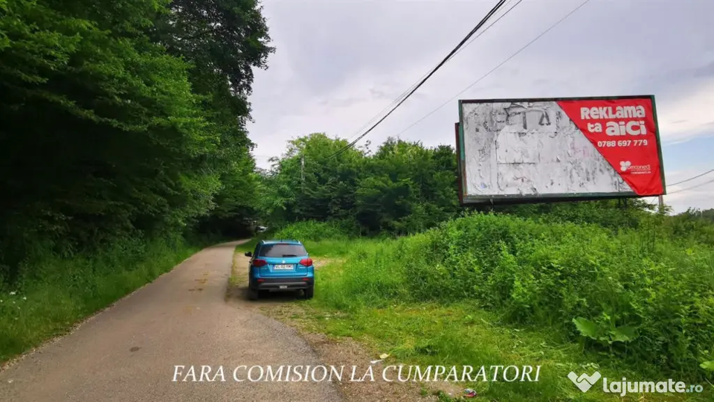 TEREN 3350 MP BUJORENI - LANGA DRUMUL EUROPEAN - Bujoreni (Valcea)