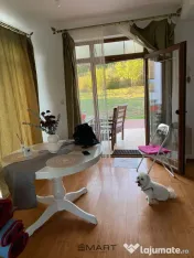 Casa individuala si curte in Davinci/ PET FRIENDLY