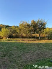 Casa individuala si curte in Davinci/ PET FRIENDLY