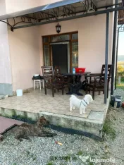 Casa individuala si curte in Davinci/ PET FRIENDLY