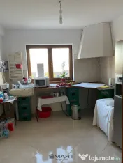 Casa individuala si curte in Davinci/ PET FRIENDLY