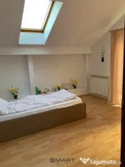 Casa individuala si curte in Davinci/ PET FRIENDLY