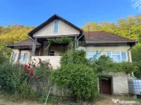 Gospodărie cu 10.900 mp teren, 3 constructii, Cainelu de Su