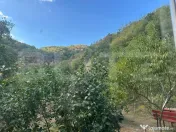 Gospodărie cu 10.900 mp teren, 3 constructii, Cainelu de Su