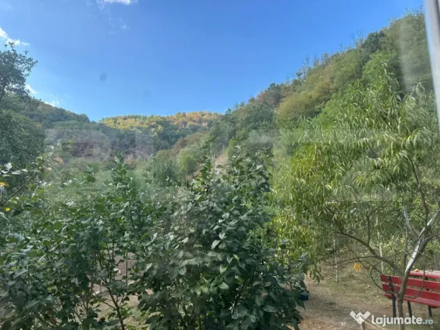 Gospodărie cu 10.900 mp teren, 3 constructii, Cainelu de Su - Cainelu De Sus (Hunedoara)